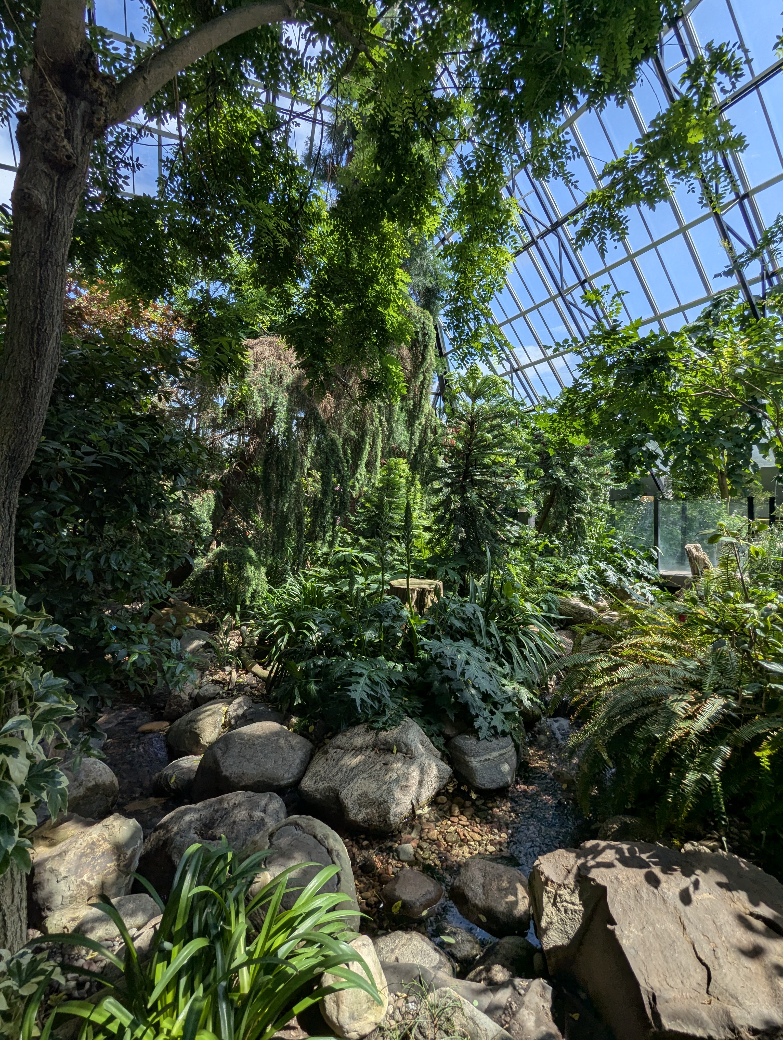 Birthday Trip to Canada, Edmonton, Pyramids, Muttart Observatory